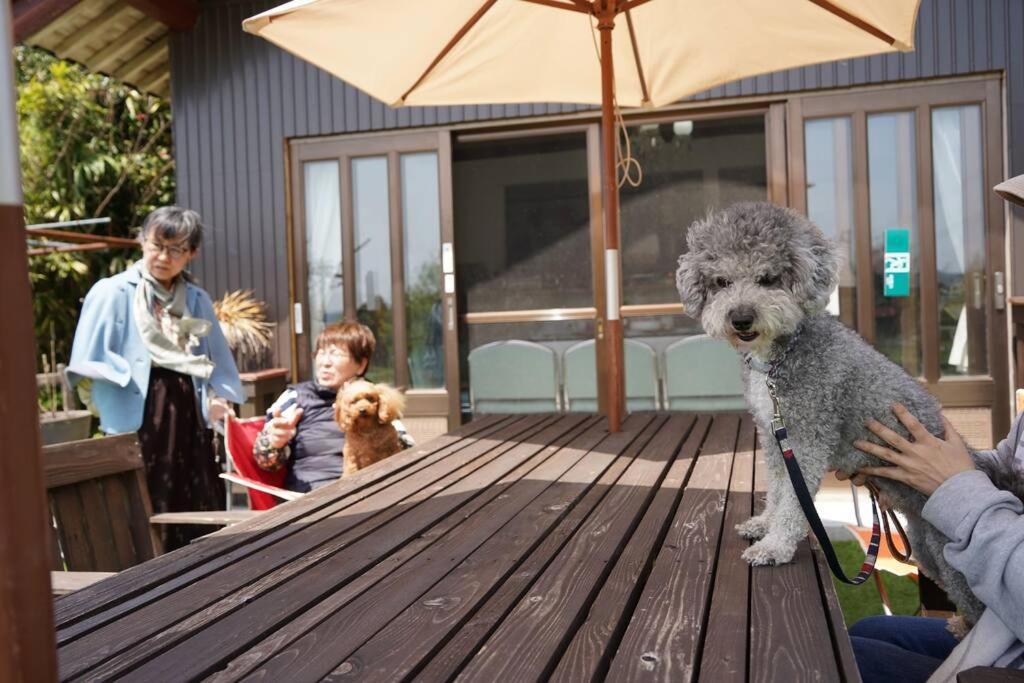 佐渡市 ガーデンハウス道楽亭ヴィラ エクステリア 写真