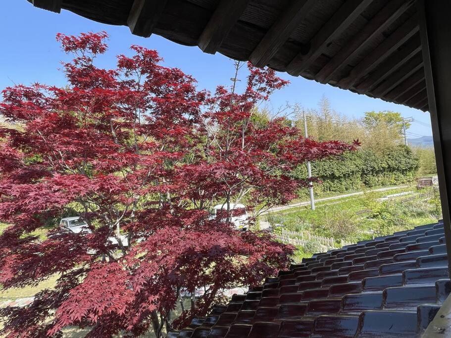 佐渡市 ガーデンハウス道楽亭ヴィラ エクステリア 写真