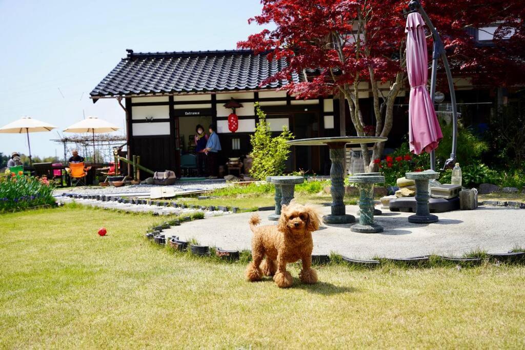 佐渡市 ガーデンハウス道楽亭ヴィラ エクステリア 写真
